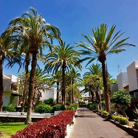 Tenerife Oasis Palm * Коста-дель-Силенцио